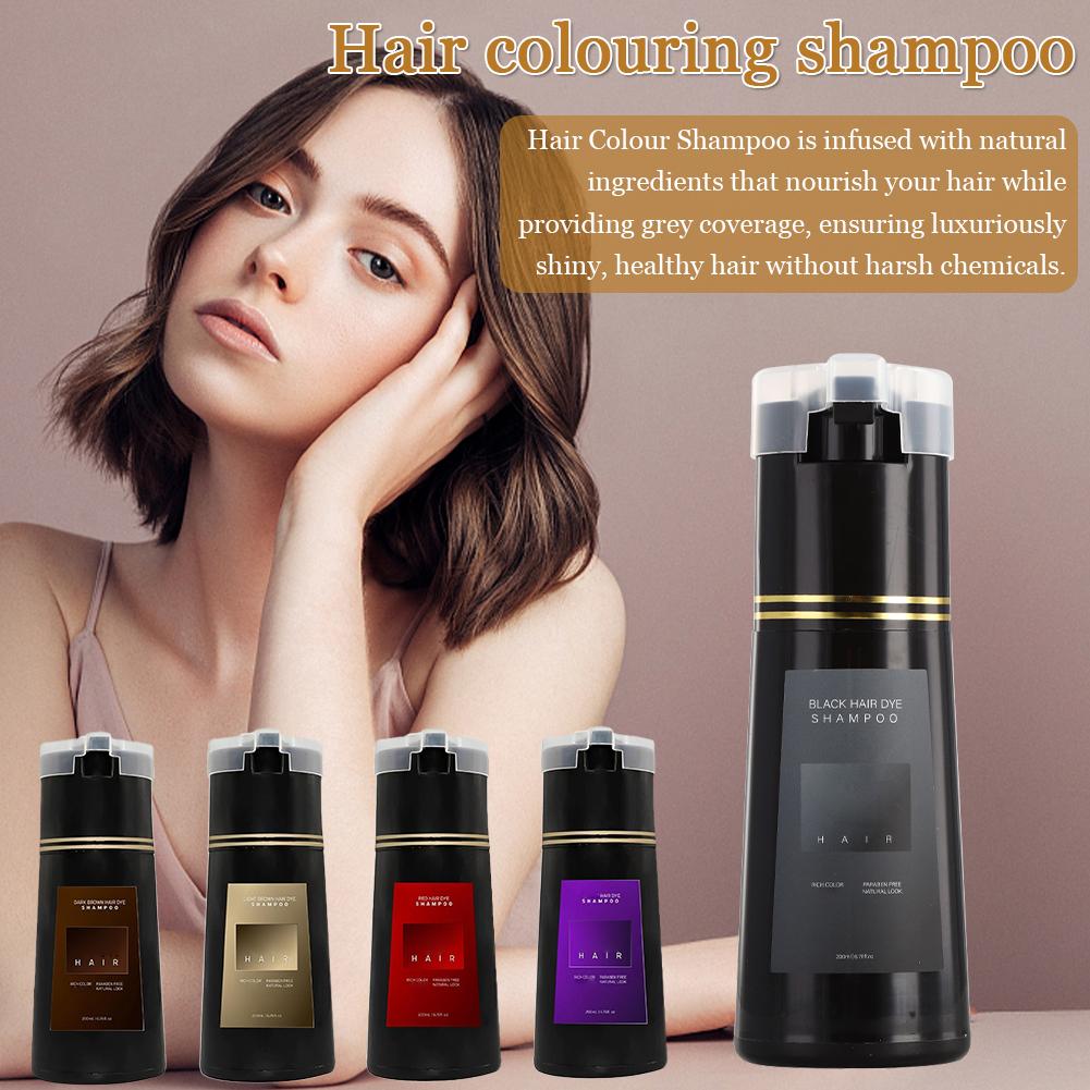 200ml 10 Menit Sampo Pewarna R - Hair Spray Color ulasan dan harga